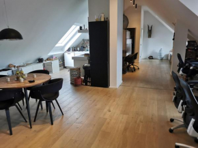 100 qm cosy Office Style Loft 10 min from Würzburg City center